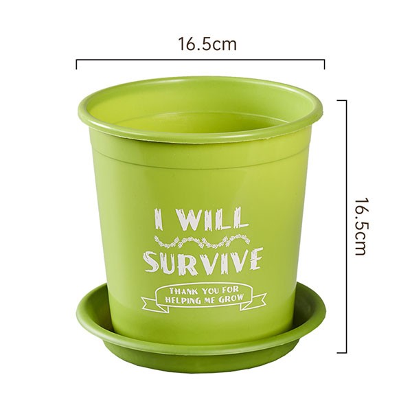 Colored Gallon Planter