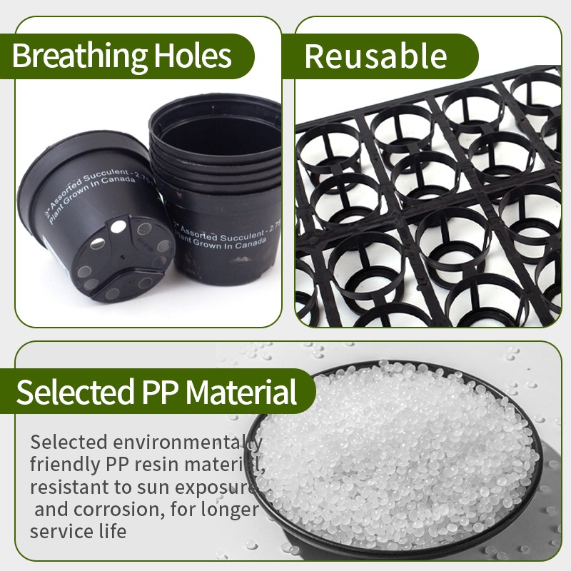 24-Cell Seedling Tray