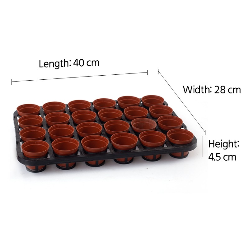 24-Cell Seedling Tray