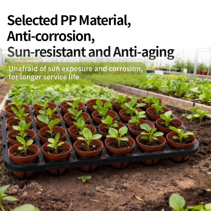 24-Cell Seedling Tray