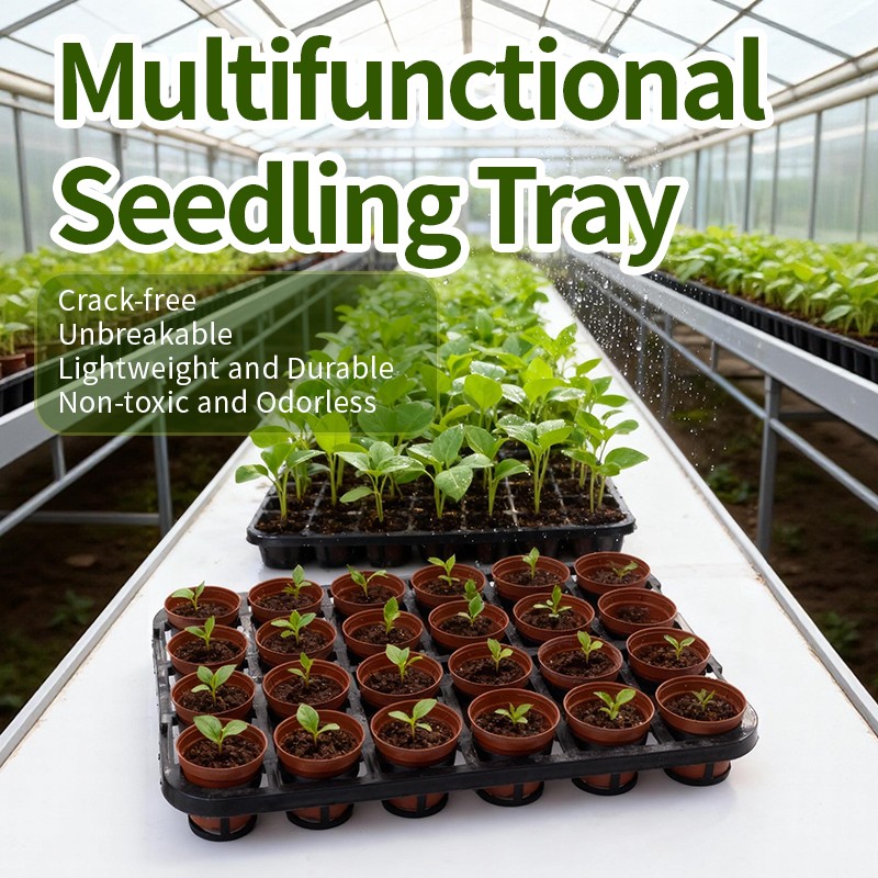 24-Cell Seedling Tray