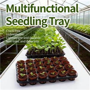 24-Cell Seedling Tray