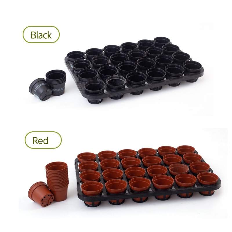 24-Cell Seedling Tray