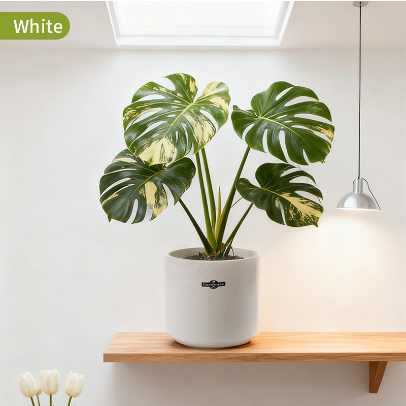 Straight Barrel-Shaped Planting Pot