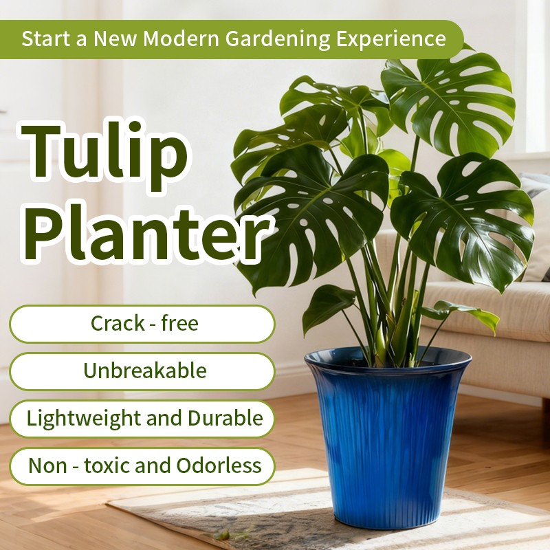 Tulip Planting Pot