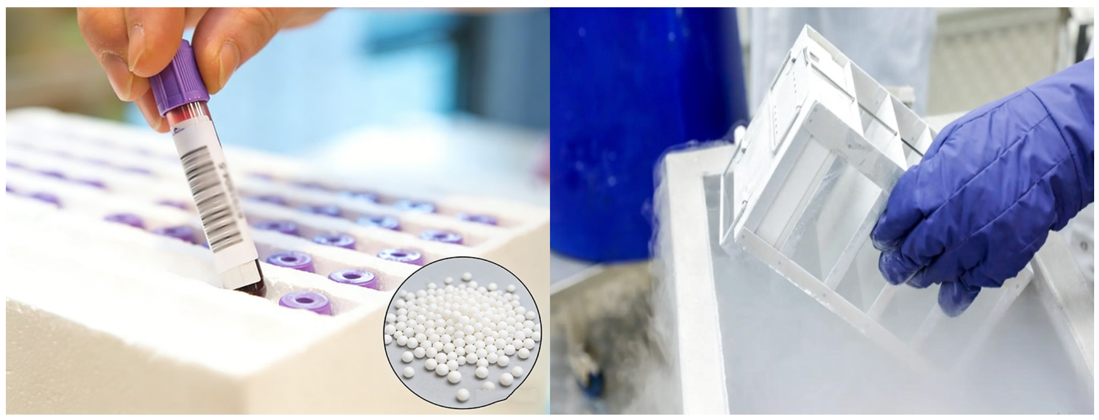 High Purity lightweight EPS Beads