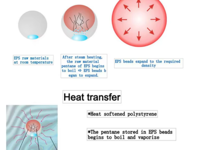 إحداث ثورة في مجال التغليف والبناء: علم وتأثير تقنية التشكيل المسبق للرغوة في البوليسترين الموسع على مستوى العالم