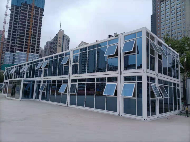 Custom Container House