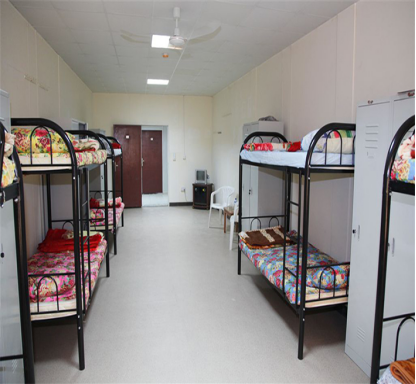 Container House Container House