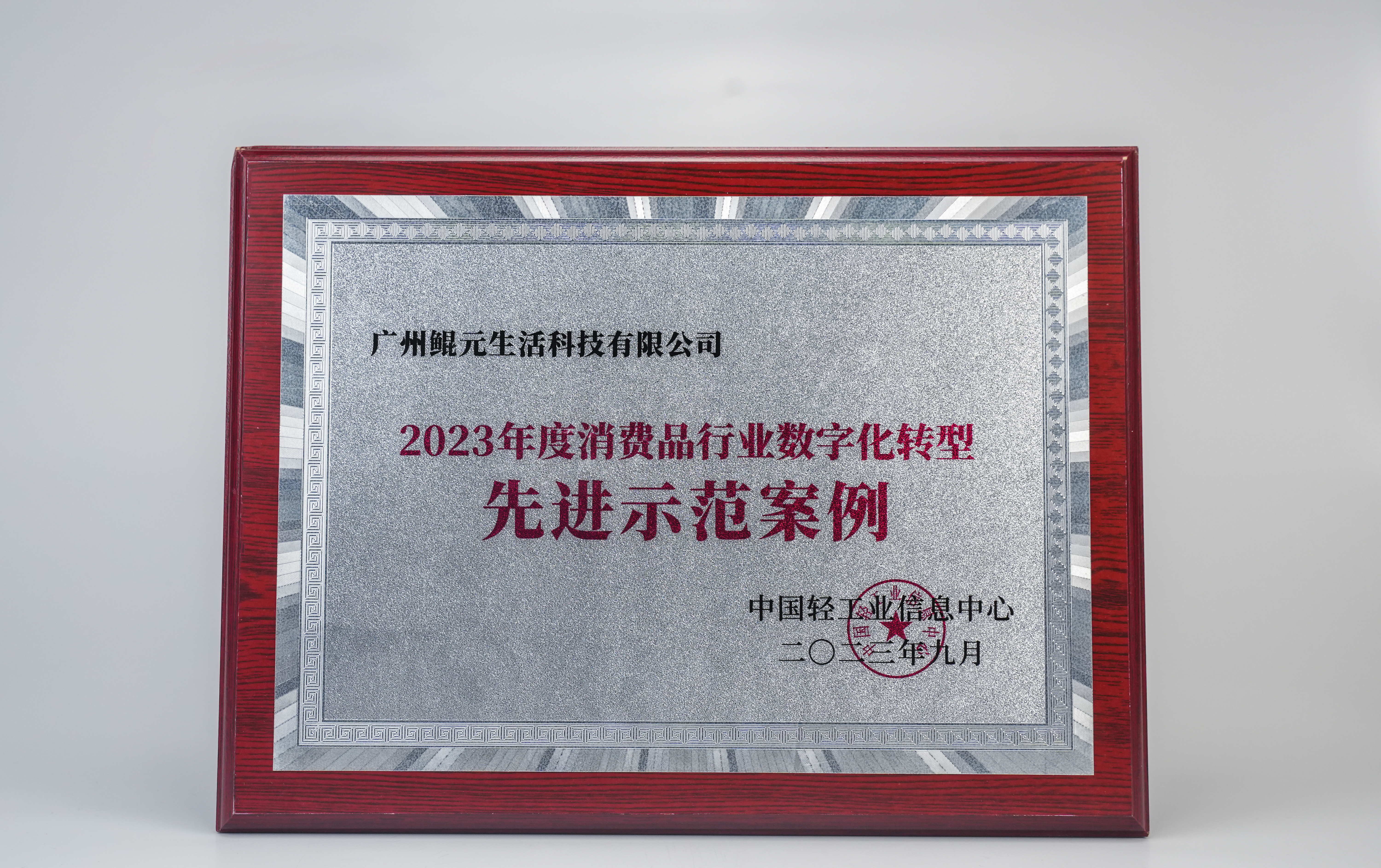 foaming kitchen cleaner