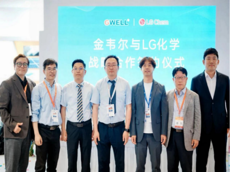 LG Chem CHINA GWELL Partnership PV Encapsulant Market Expansion