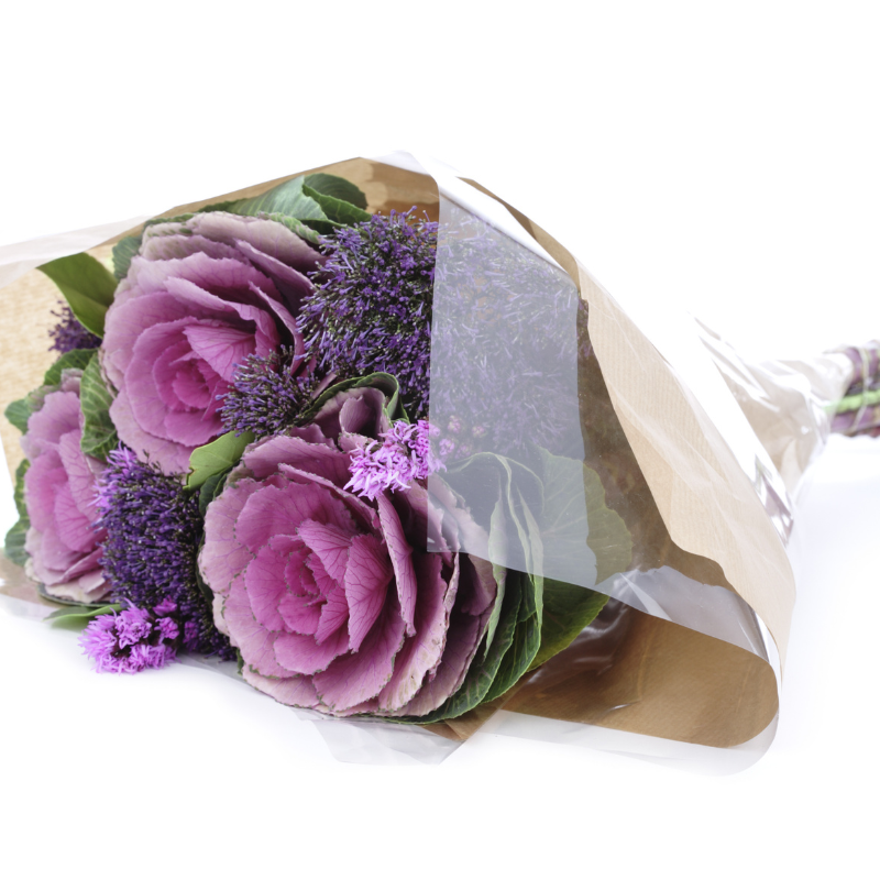 Compostable Breathable BOPLA film for Bouquet Sleeve