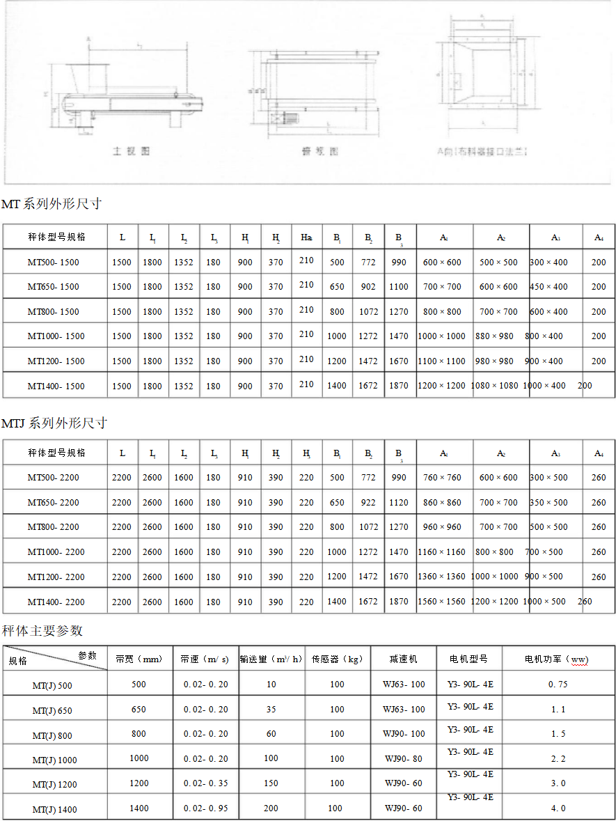 Belt scale weighing system