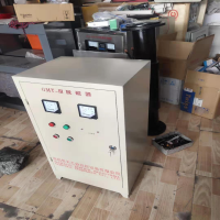 High Frequency Pulse Demagnetizer