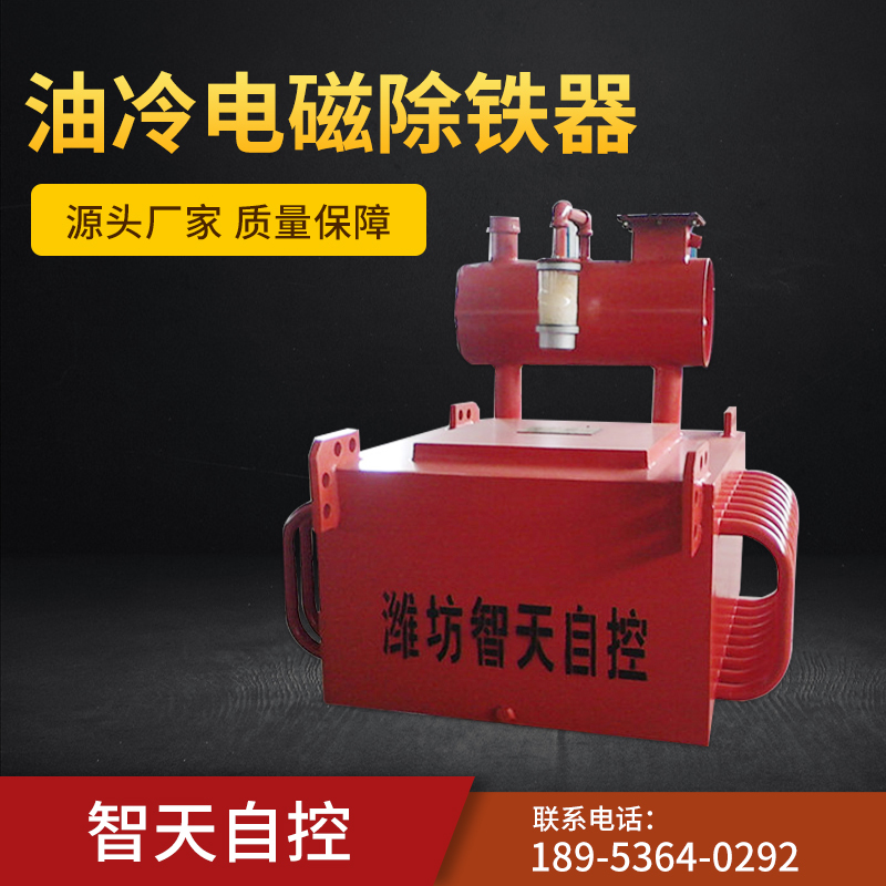 Suspended Electric Self Cleaning Oil Cooled Magnetic Separator