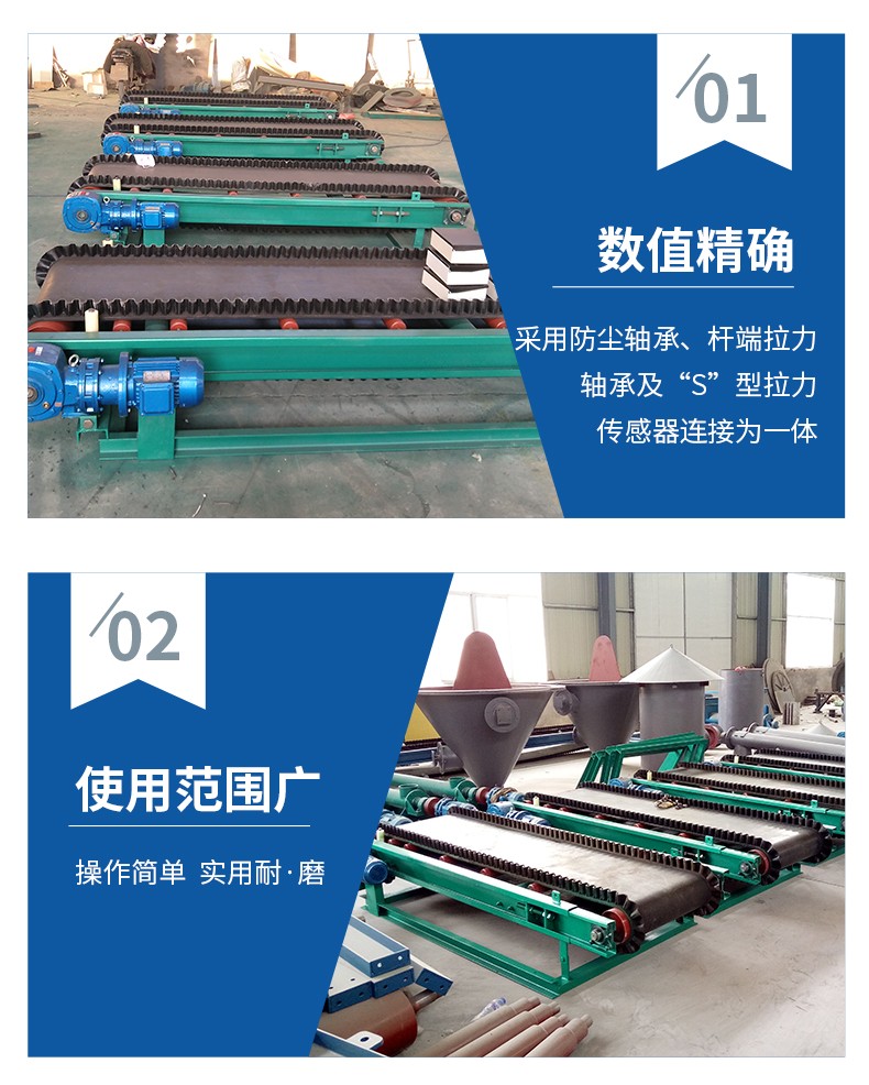 Belt Scale