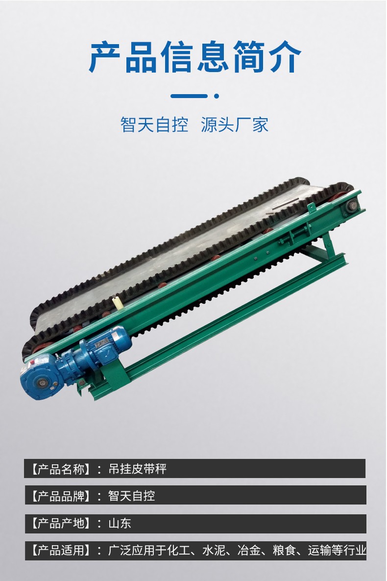 Belt Scale