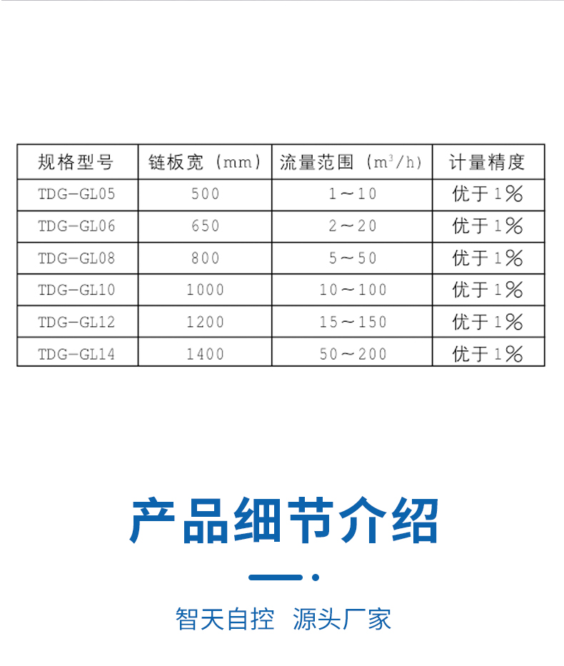 Chain Conveyor Scale