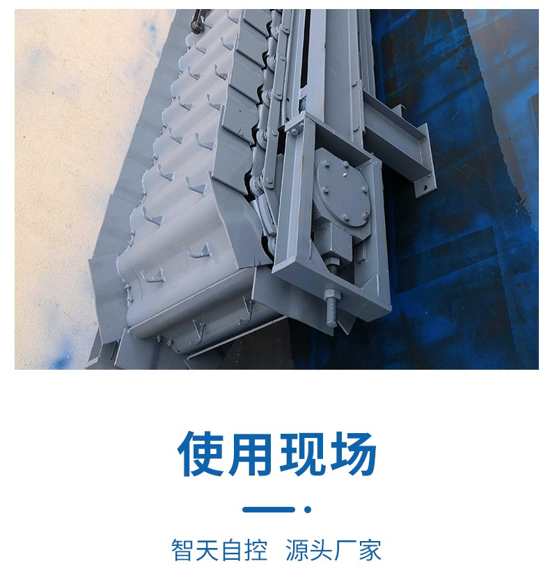 Chain Conveyor Scale