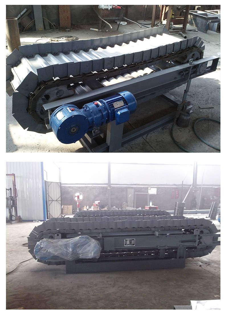 Chain Conveyor Scale