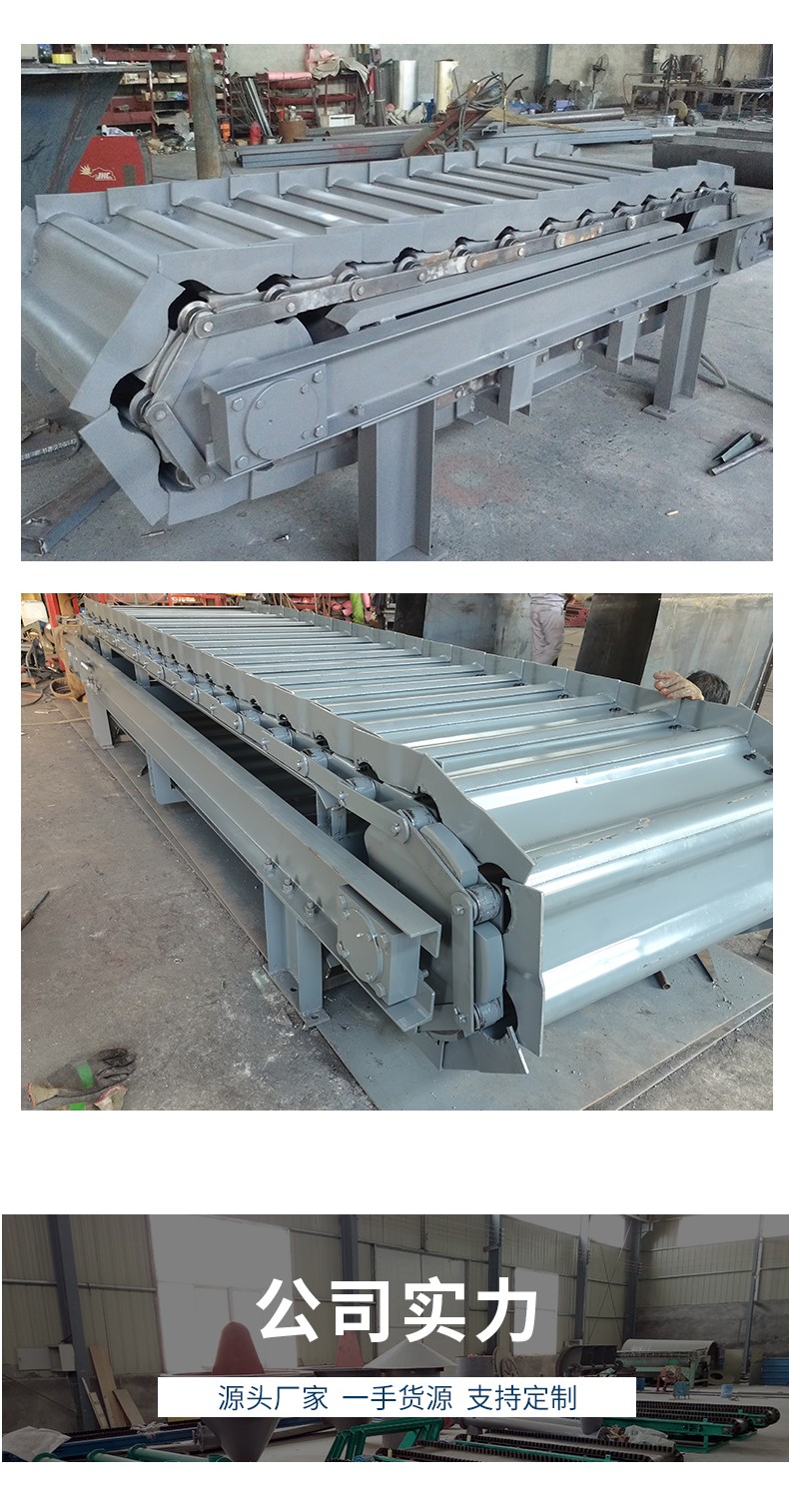 Chain Conveyor Scale