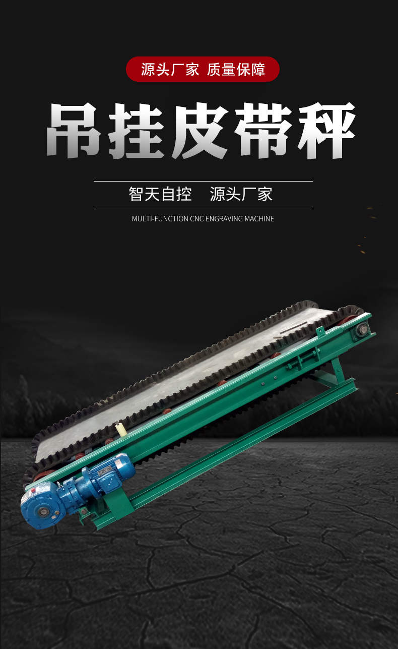 belt scale