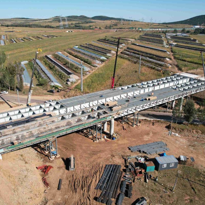 Steel Structure Bridge