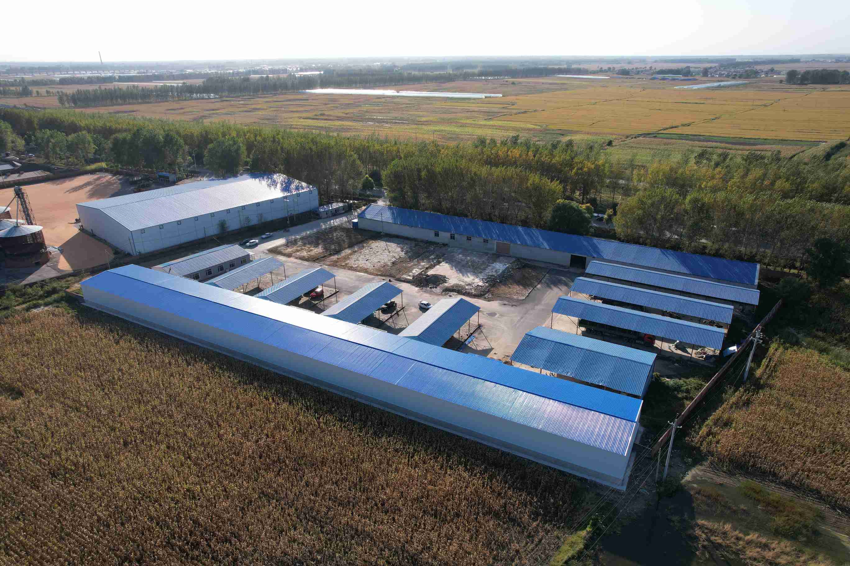 steelframecost steelframecost