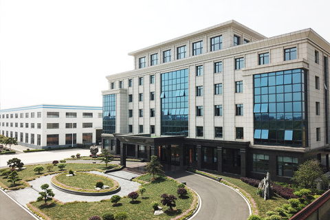 Your Long - term Partner: Haina's Global Service Commitment