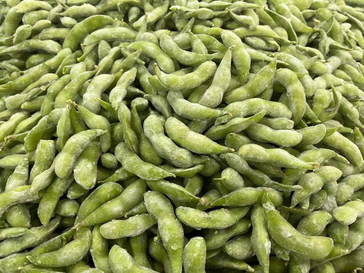 IQF edamame supplier China