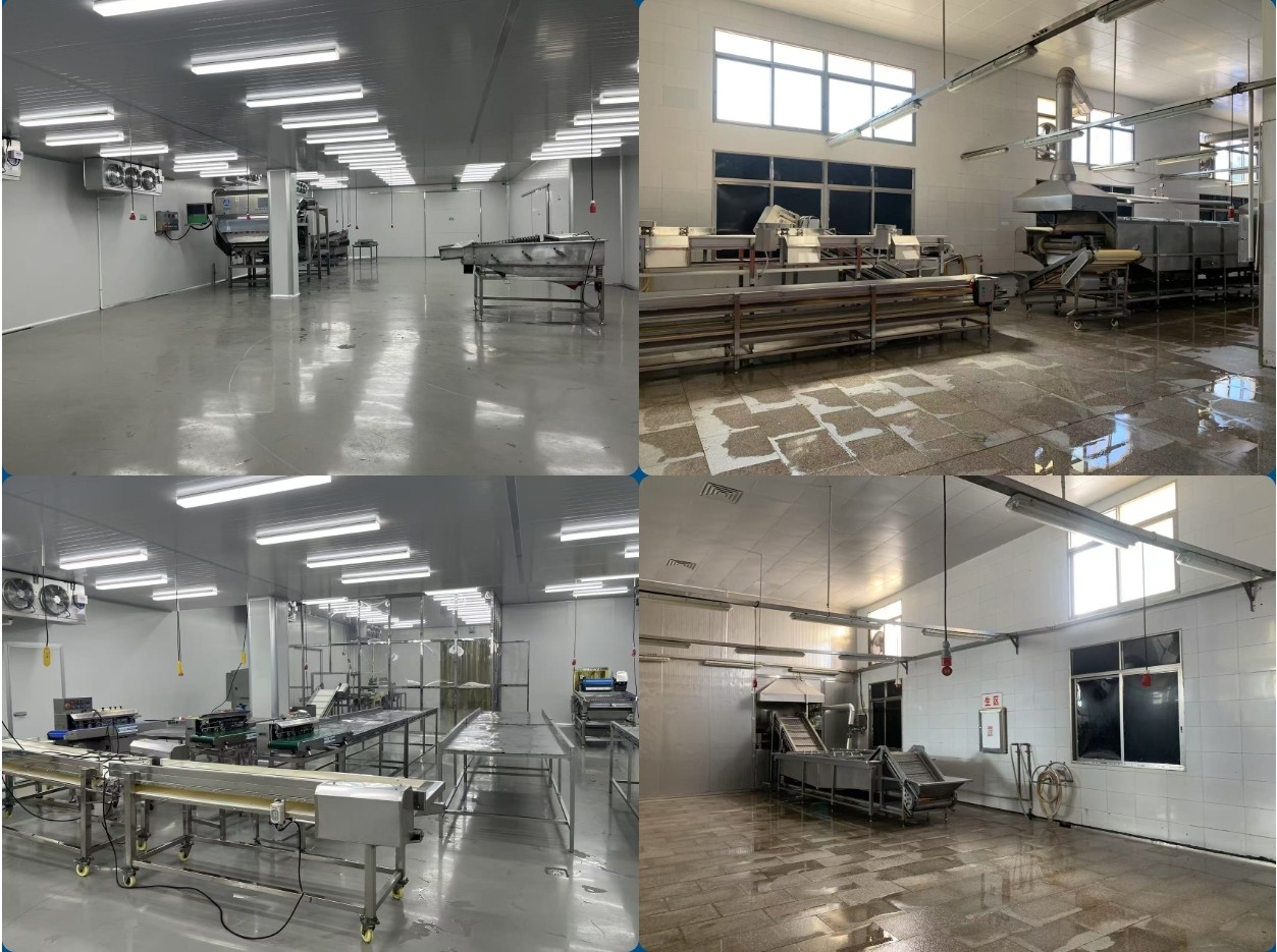 frozen bamboo shoot manufacturer