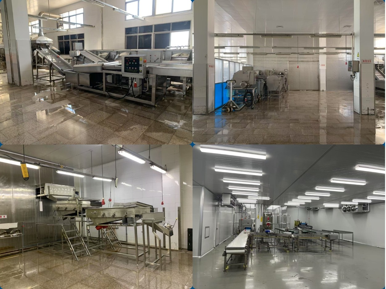 frozen bamboo shoot supplier