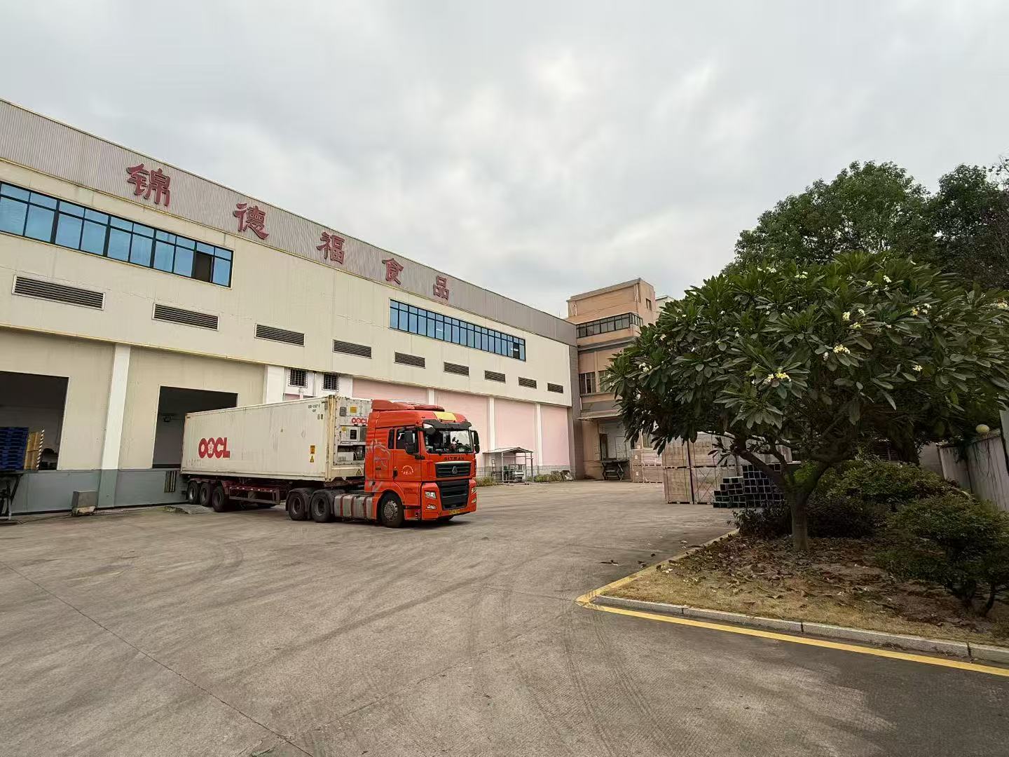 frozen bamboo shoot supplier