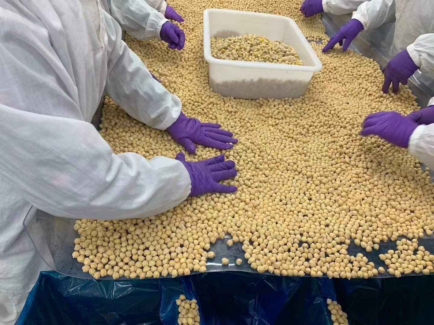 frozen vegetables manufacturer