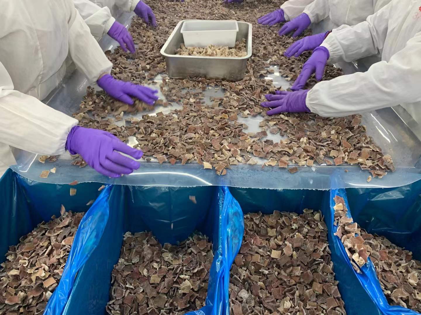 frozen black fungus manufacturer