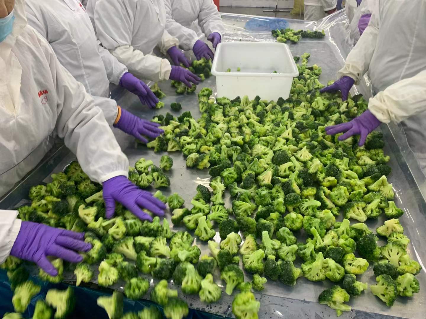 custom frozen broccoli