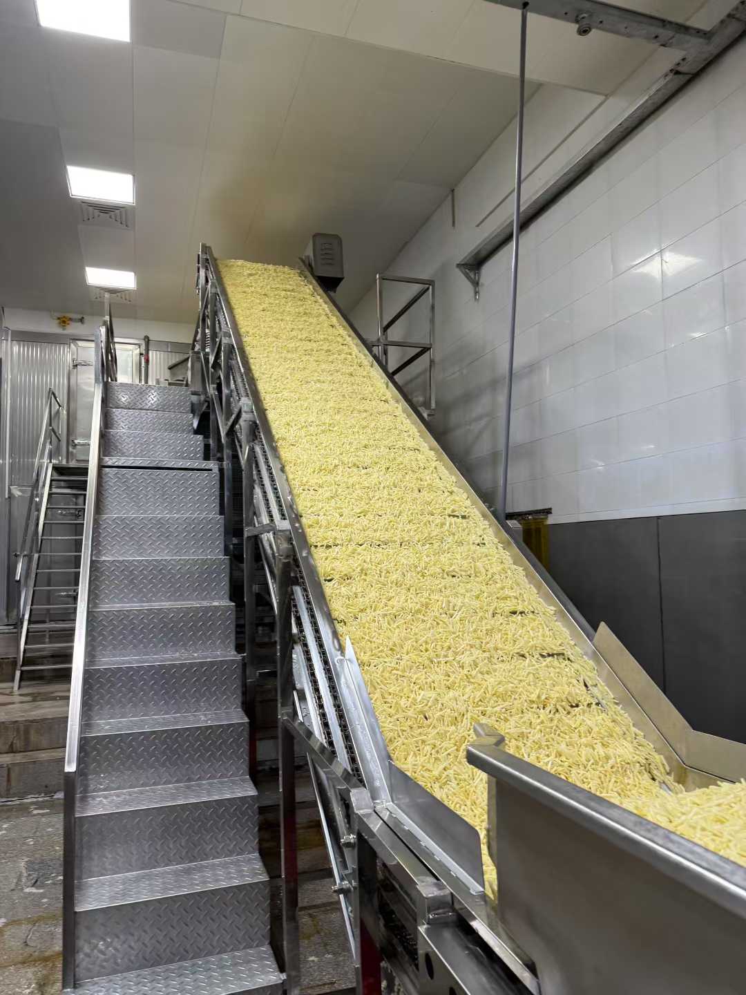 frozen bamboo shoot manufacturer