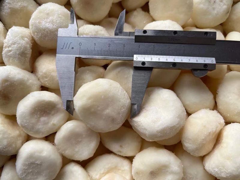IQF Frozen Water Chestnut manufacturer slices dices and whole