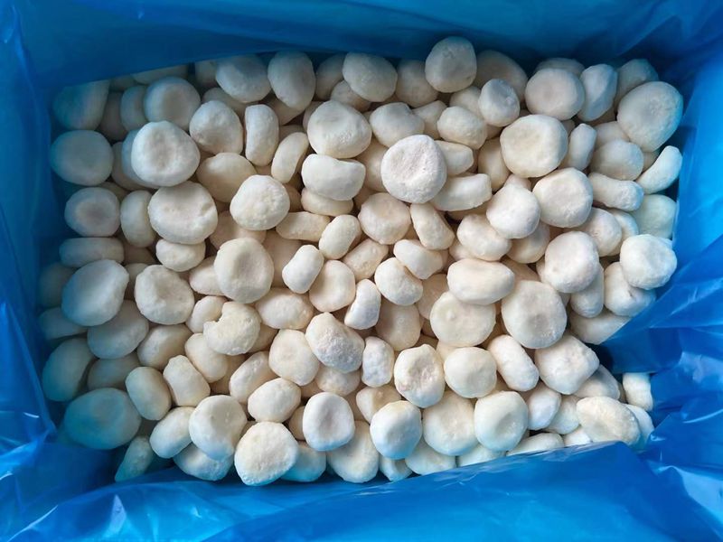 IQF Frozen Water Chestnut manufacturer slices dices and whole