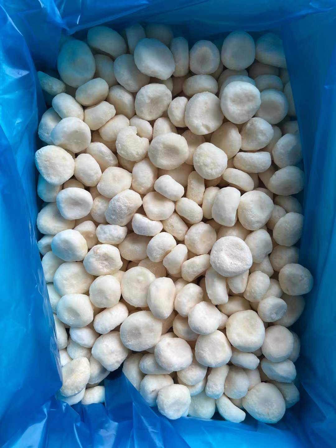 diced Frozen Water Chestnut slices manufacturer
