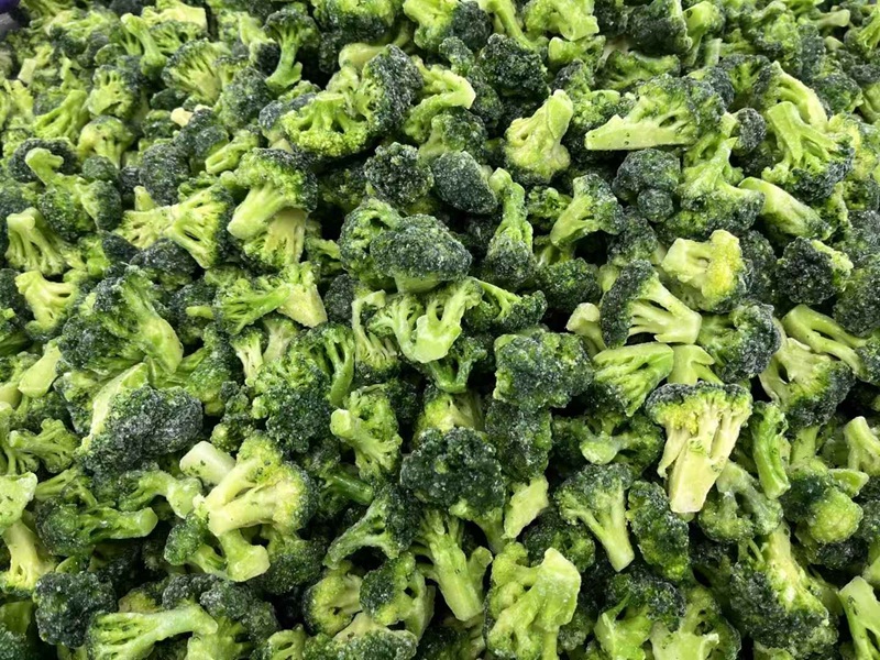 IQF Frozen Broccoli Florets manufacturer- Wholesale Supplier from China