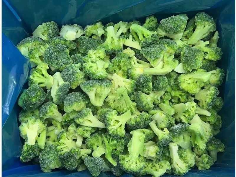 IQF Frozen Broccoli Florets manufacturer- Wholesale Supplier from China
