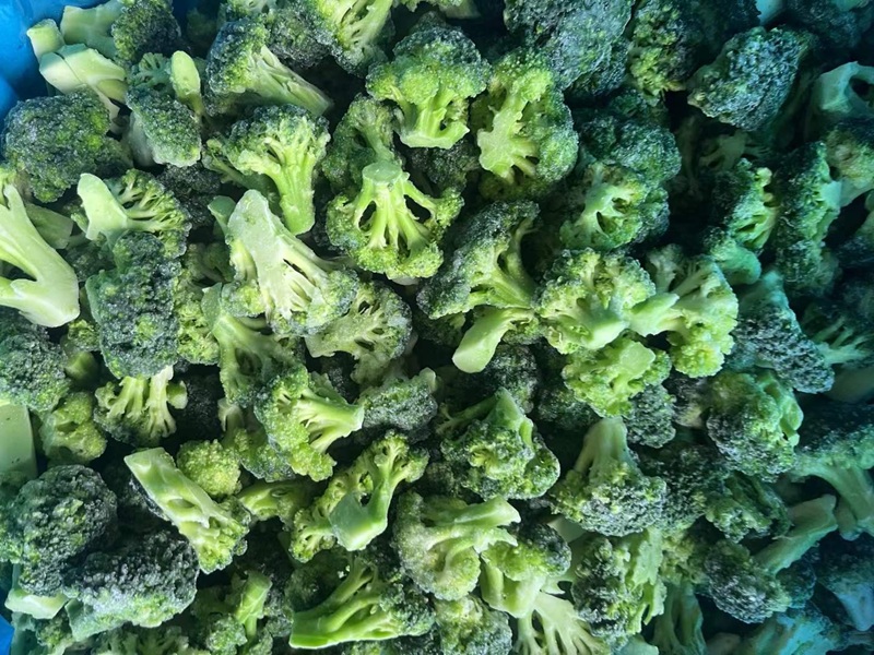IQF Frozen Broccoli Florets manufacturer- Wholesale Supplier from China