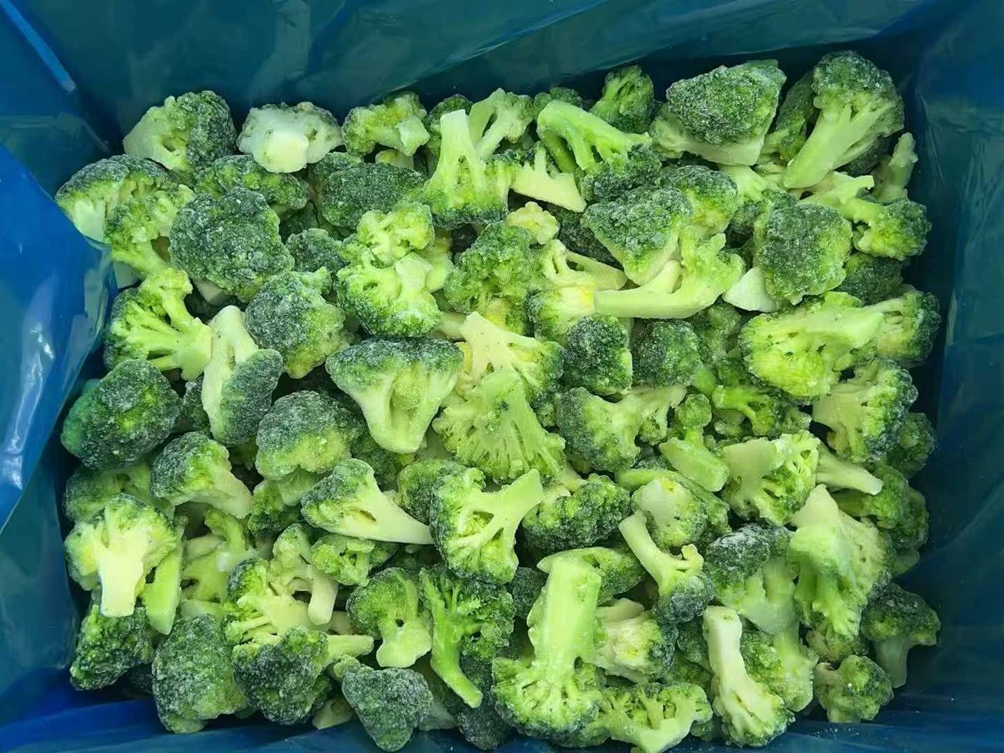 frozen broccoli floret manufacturer