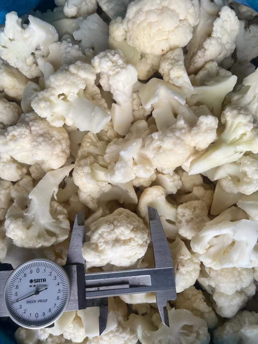 IQF Cauliflower Exporter