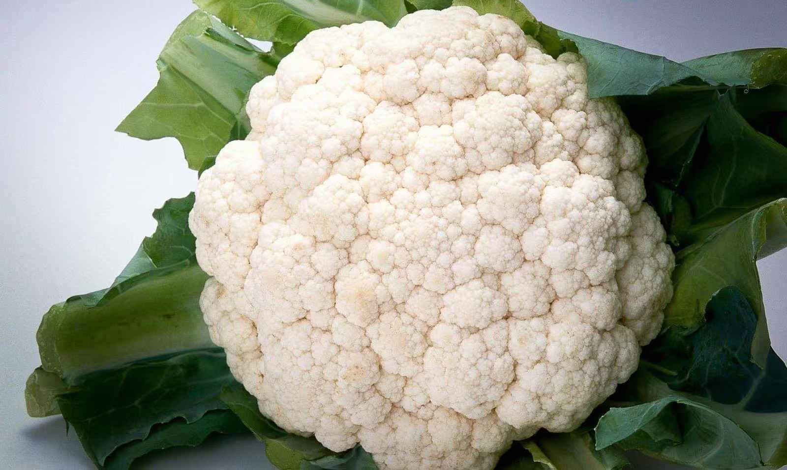 IQF Frozen Broccoli Bulk