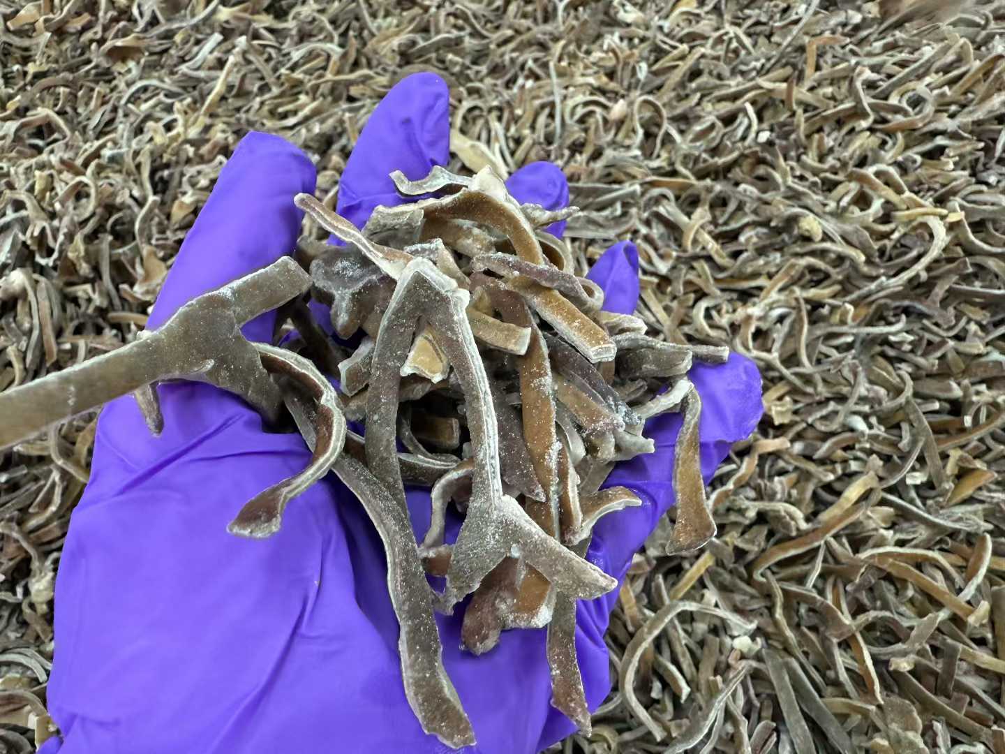 Wholesale Frozen Black Fungus Strips