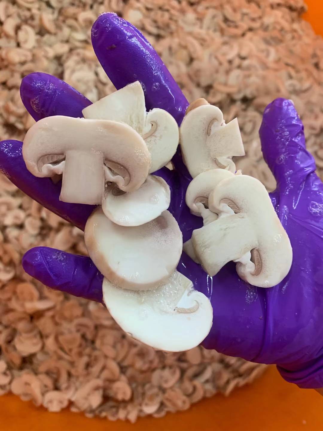 Frozen White Button Mushroom manufacturer