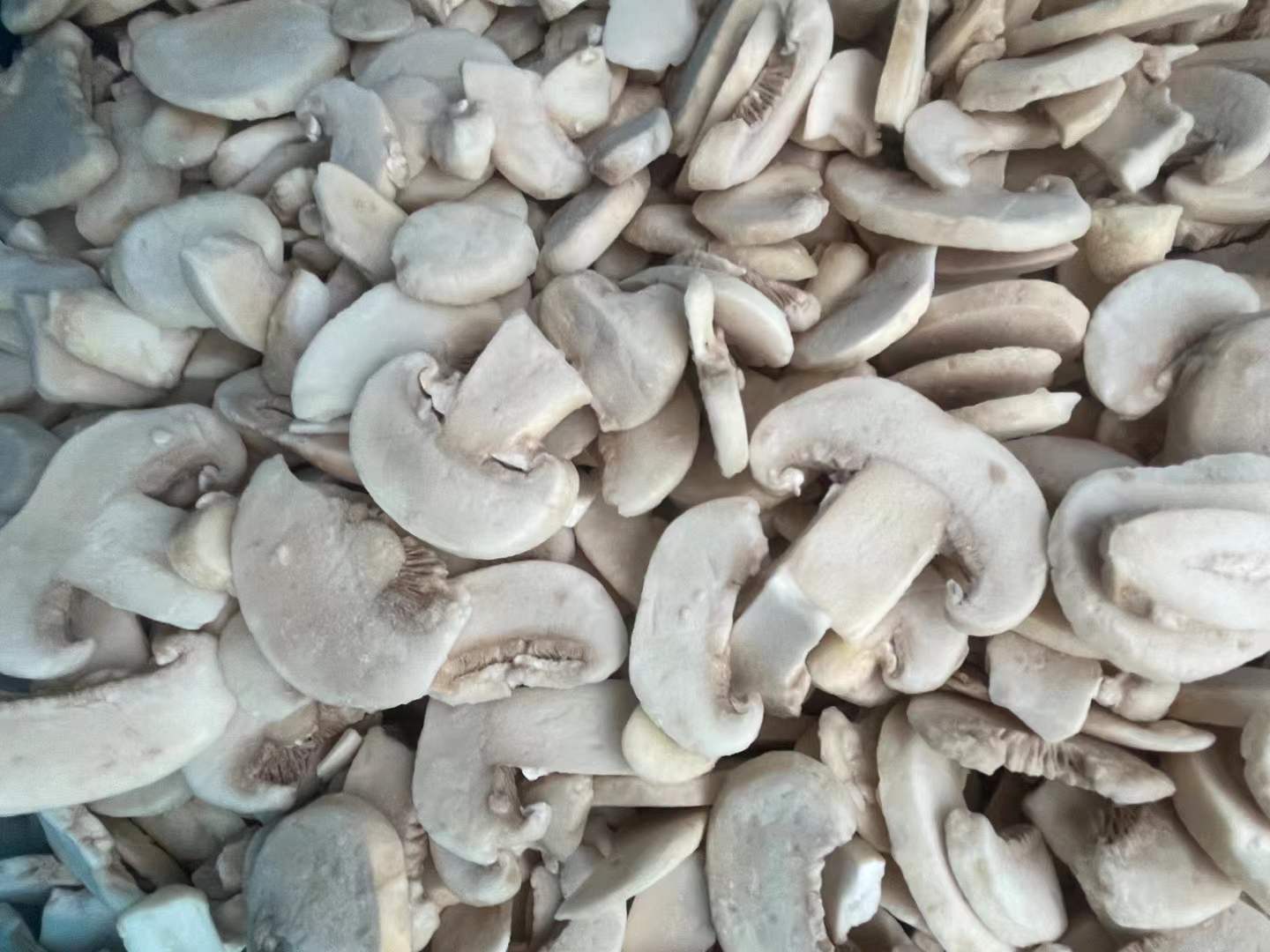 frozen mushroom slices manufacturer frozen Agaricus Mushroom Sliced wholesale