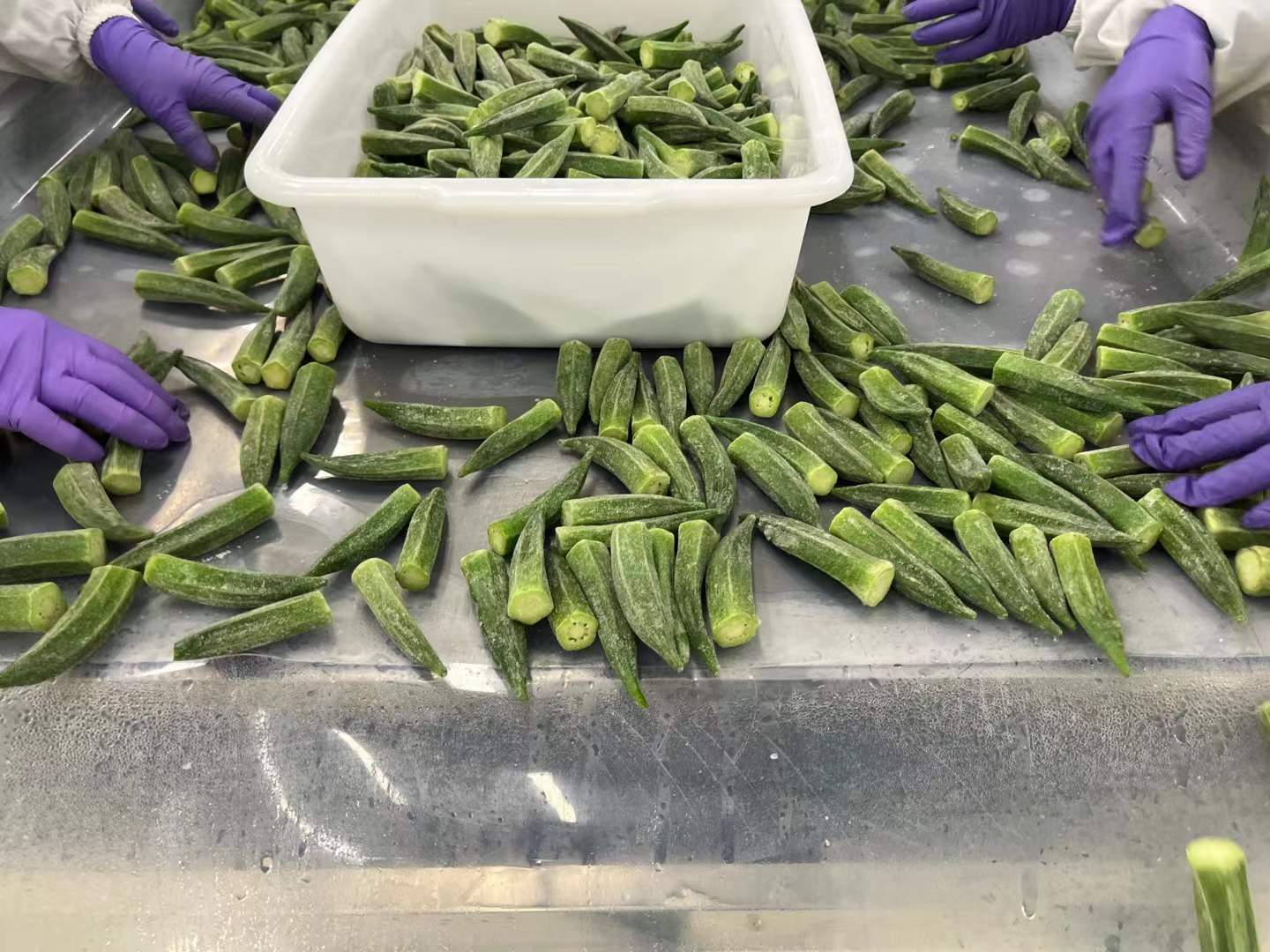 Frozen Okra whole manufacturer
